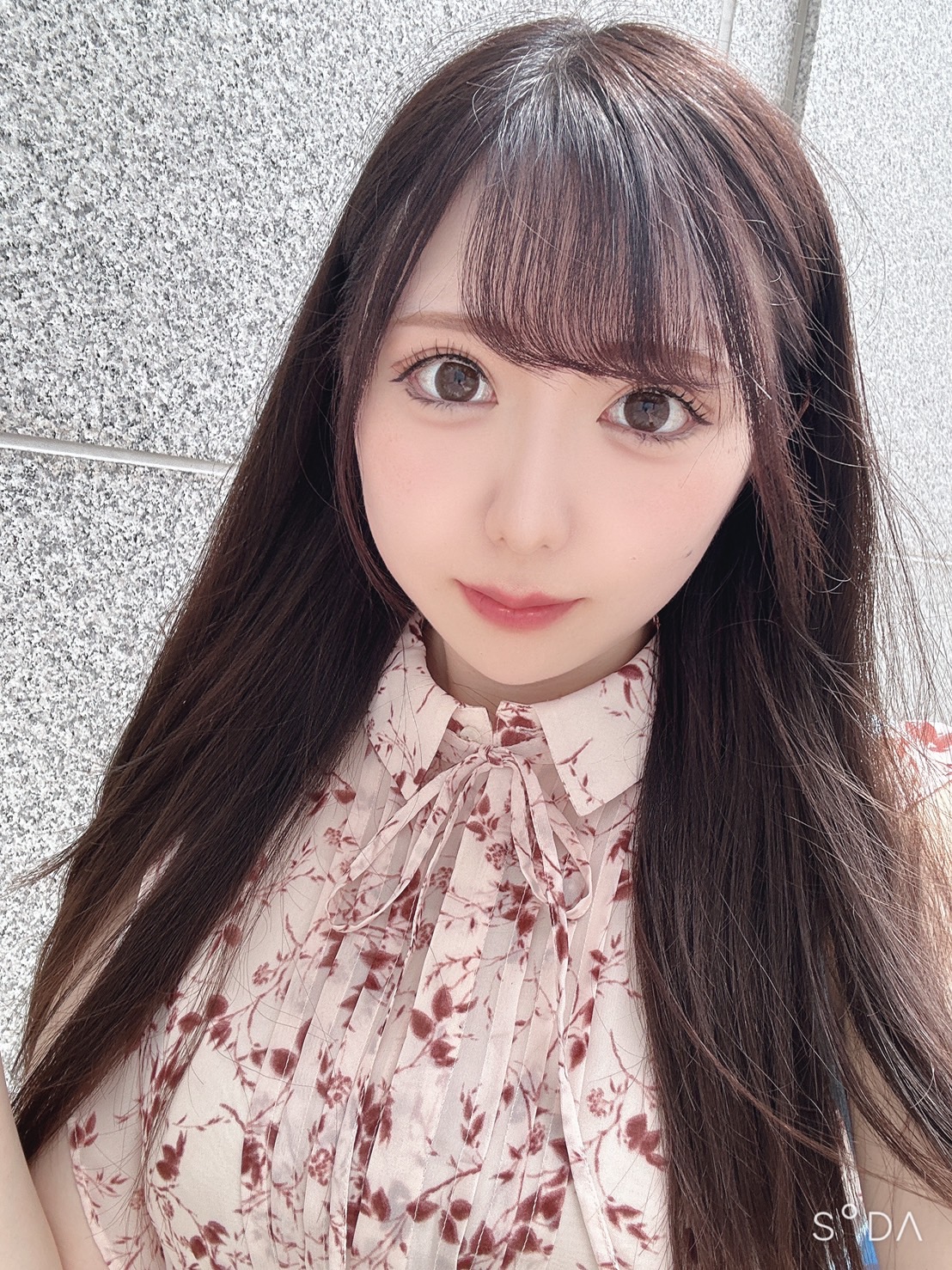枫